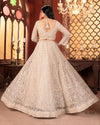 Ethereal Ivory Net Embroidery Lehenga for Reception